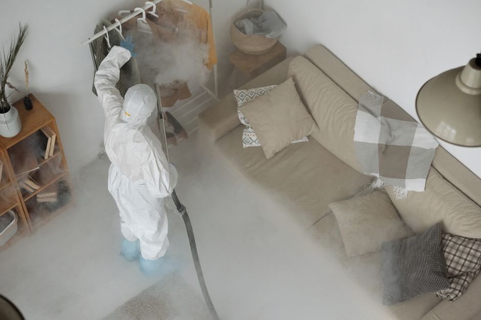 How To Start A Pest Control Business